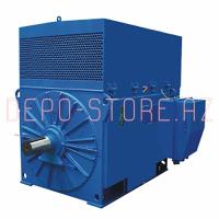 Standard Effektivli Elektrik motor