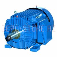 Elektrik Motor NEMA Premium